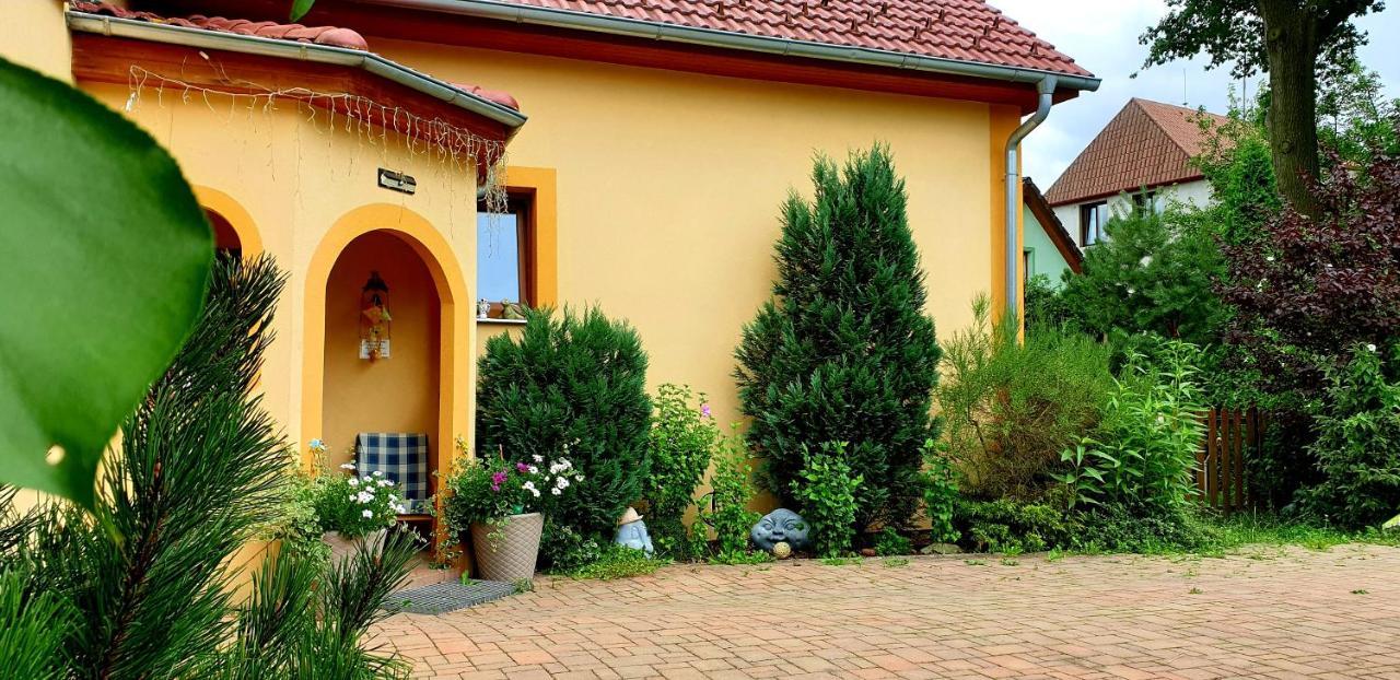 Penzion U Sykoru Třeboň المظهر الخارجي الصورة