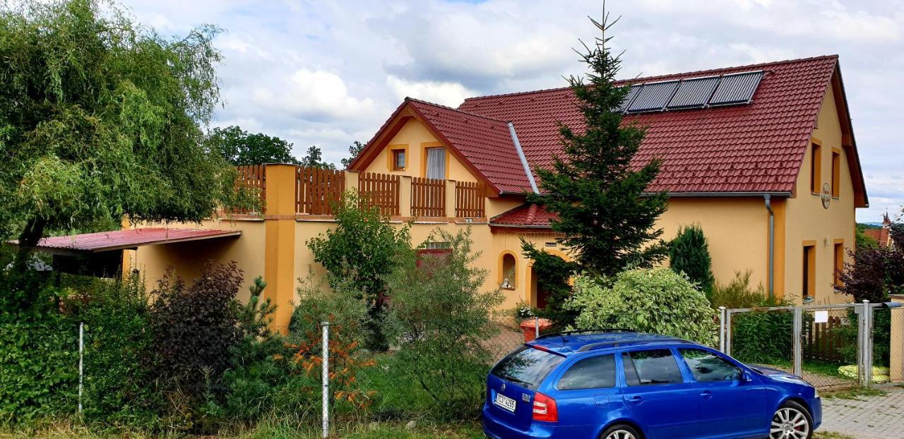 Penzion U Sykoru Třeboň المظهر الخارجي الصورة