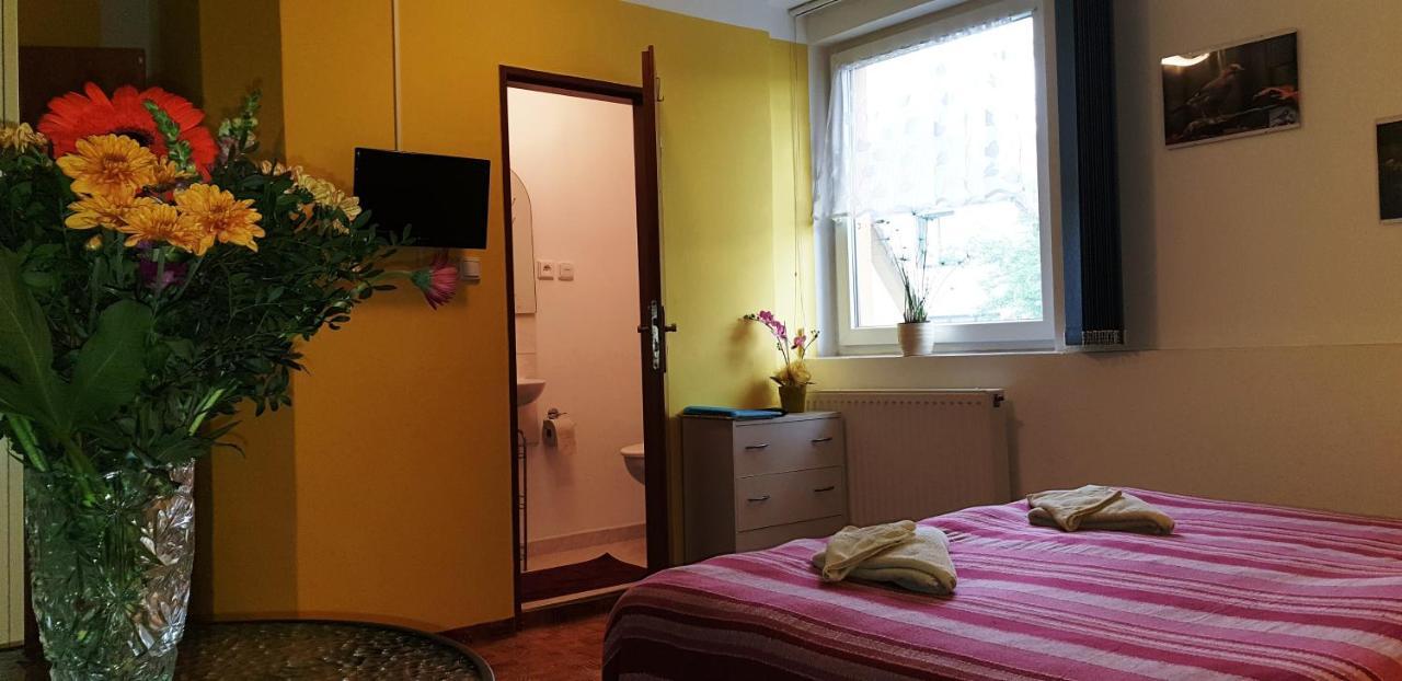 Penzion U Sykoru Třeboň المظهر الخارجي الصورة