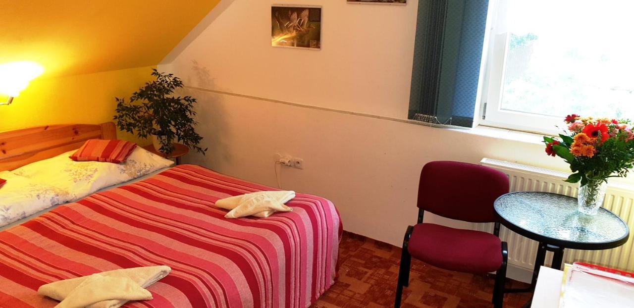 Penzion U Sykoru Třeboň المظهر الخارجي الصورة
